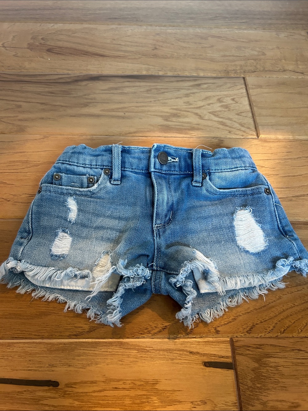 Tractr Light Blue Distressed Denim Shorts with Frayed Hem